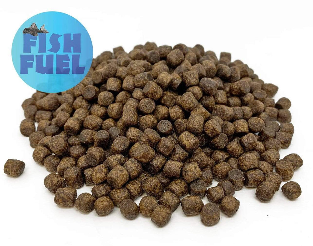 Koi carp pellets top