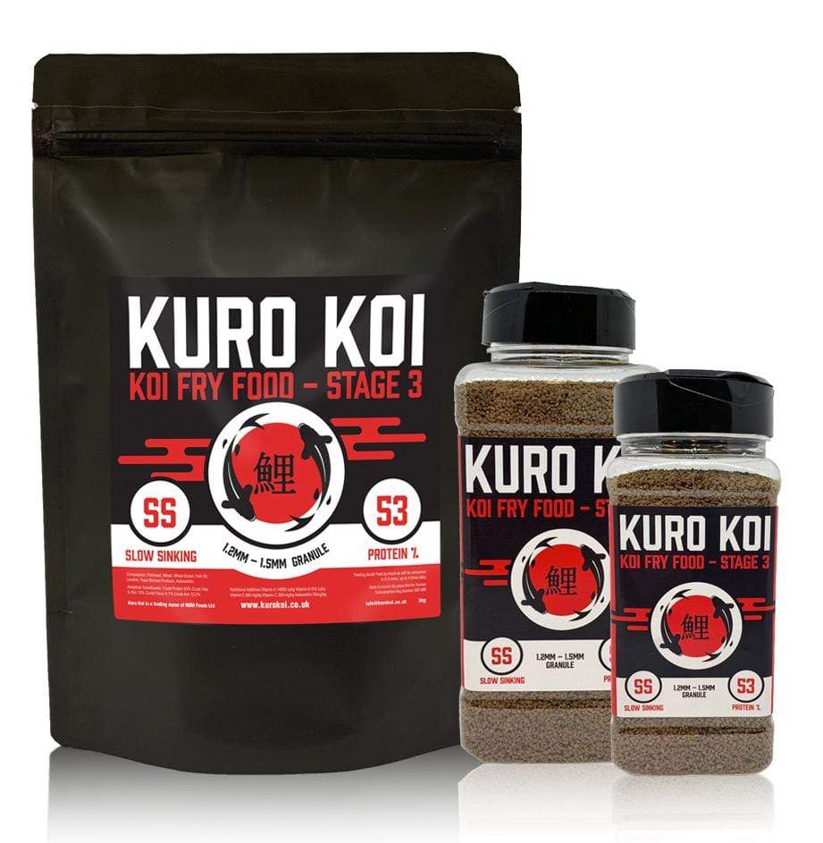 Buy koi sale fry online